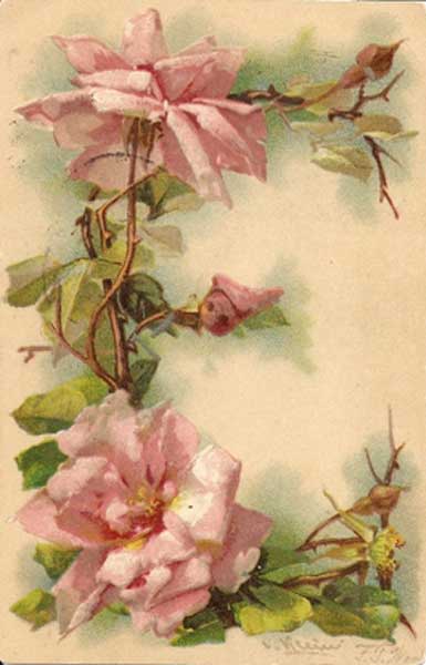�������� ��. �����. ����� Ż
Postal card �The letter E by Catharina Klein�