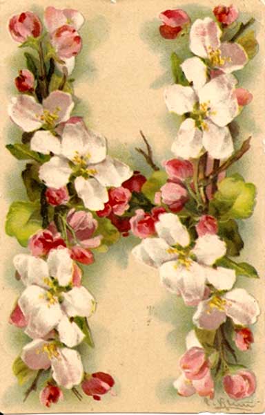 �������� ��. �����. ����� N�
Postal card �The letter N by Catharina Klein�