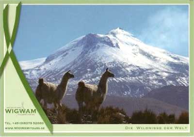 �������� ����
Postal card �Whale�