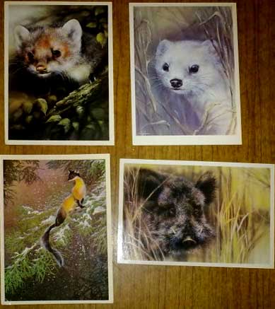 �. ������. ��������
Postal cards by A. Isakov