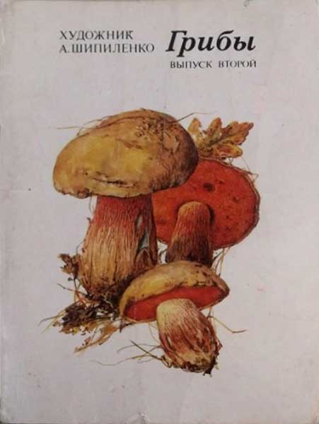 ����� �������� ��. ���������. ������
Set of postal cards �Mushrooms by A. Shipilenko�