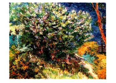 ������� ��� ���. ����
Bush by Vincent van Gogh
