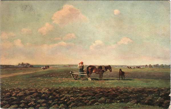 �.�.�����. �� �����
On plough-land by Michael P. Klodt