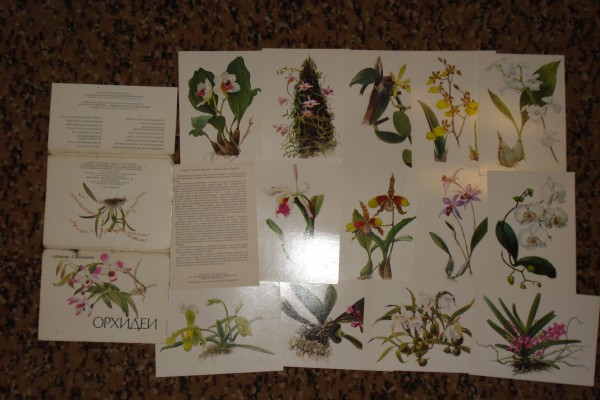 ����� �������� ��. ���������. �������
Set of postal cards �Orchids by A. Shipilenko�
