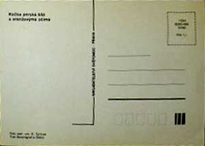 �������� ����
Postal card �Cat�